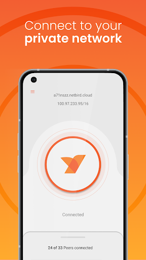 NetBird P2P VPN Screen 3