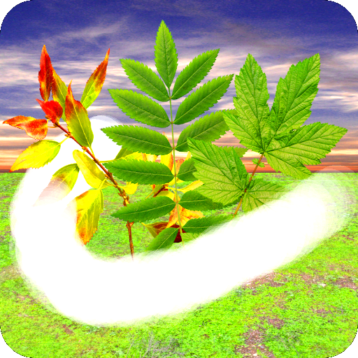Windy Relax logo