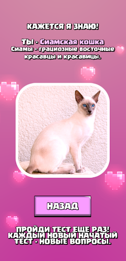 Тест какой ты кот
