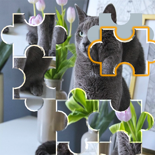 Picture Tile Sort Puzzle