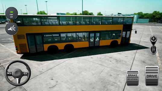 Bus Driver Tourist Coach
