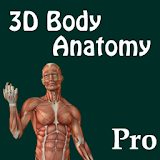 3D Body Anatomy Doctor PRO icon