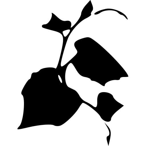 Northwest Vines logo