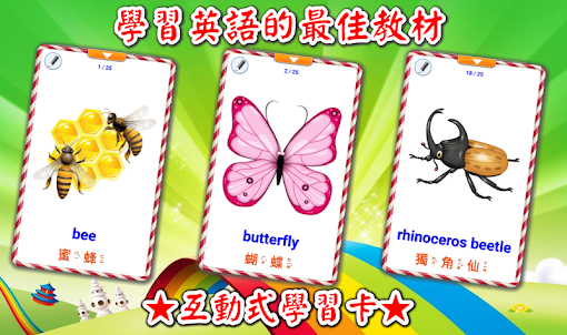 昆蟲學習卡 : 英語學習