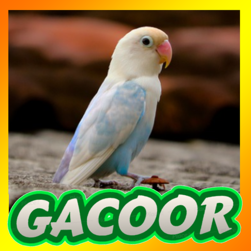 Training Lovebird Masteran logo