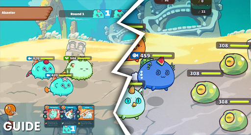 Axie Infinity Game Scholarship Helper