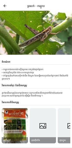 សុខភាពដំណាំ Screenshot 3 - AppWisp.com