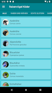 App-Vorschau