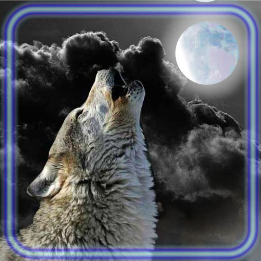 Wolf Night Howl