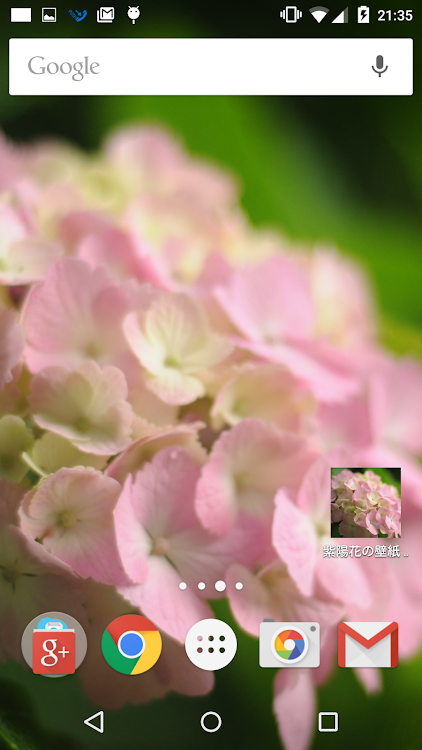 ピンク色の紫陽花の壁紙 無料版 Freeフリー بواسطة Wallpapers Maps Android تطبيقات Appagg
