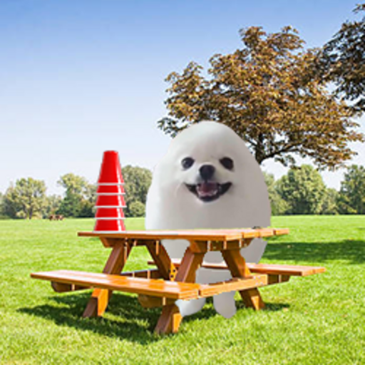 Eggdog in the Park