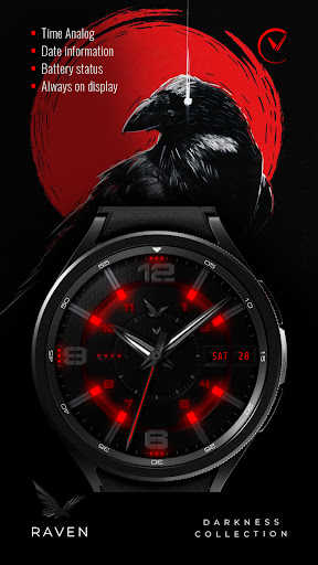 Voron RAVEN Watch Face screenshot 1