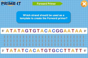 Prime It DNA Game