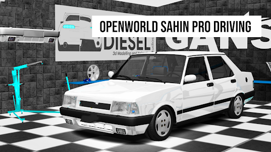 OpenWorld Car Driving Sahin 2