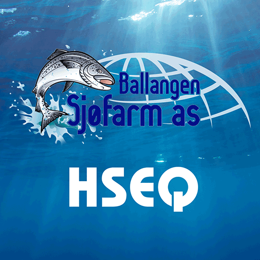 Ballangen HSEQ logo