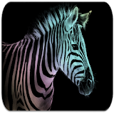 Zebra sounds icon
