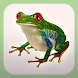 FROG MINUTES - Androidアプリ