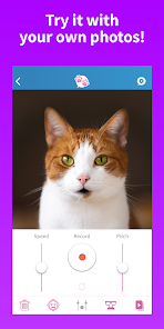 My Talking Pet Apps on Google Play