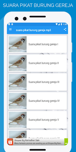suara pikat burung gereja mp3 Screen 2