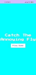 Catch The Fly