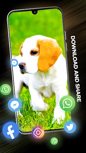Puppies Wallpapers in 4K Screen 3