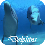 Cover Image of Download Dolphins Video Live Wallpaper 3.0 APK