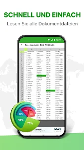 XLSX Reader - Excel Viewer