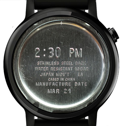 Stainless Steel Watch Face