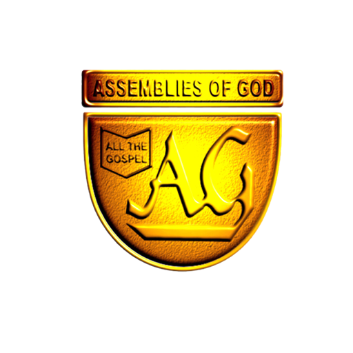 NLAG Nellai logo