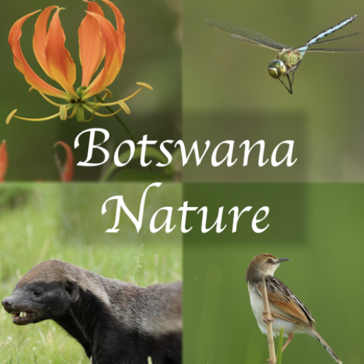 Botswana Wildlife Guide 1.0.5 Icon