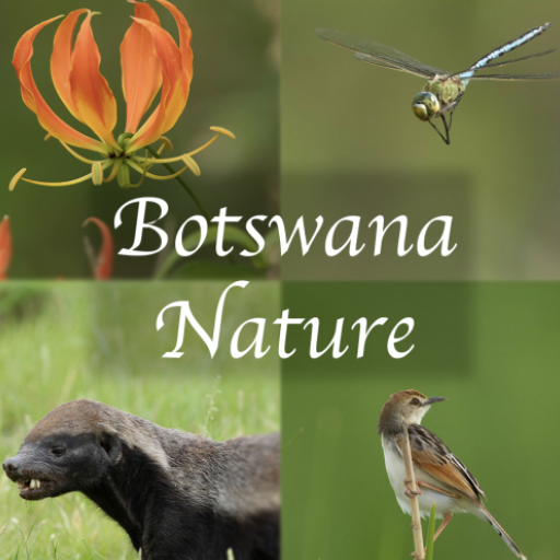 Botswana Wildlife Guide Logo