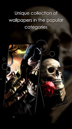 Game screenshot Wallpapers with Skulls 4K mod apk