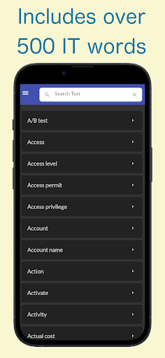 IT Translation Dictionary Screen 2