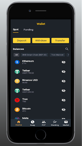 Photon Exchange Screen 3