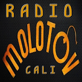 Radio Molotov Cali icon