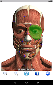Captura de Pantalla 13 Visual Anatomy Lite android