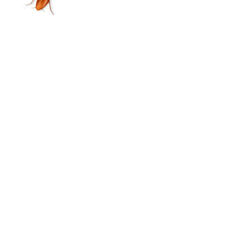 Games for Cats - Cockroach Screen 3