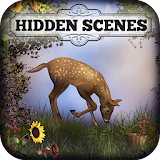 Hidden Scenes - Mother Nature icon