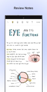 Noteshelf 1