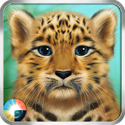 Wild Leopard 1.6 Icon