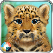 Wild Leopard  Icon