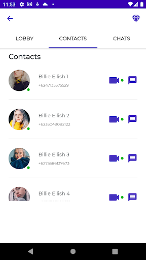 Billie Eilish Fake Video Call Screen 2