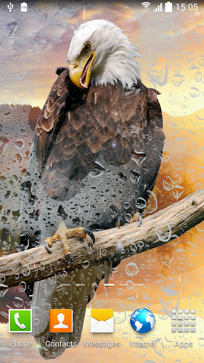 Birds Live Wallpaper Screen 2
