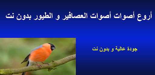 أروع أصوات العصافير و الطيور بدون نت التطبيقات على Google Play