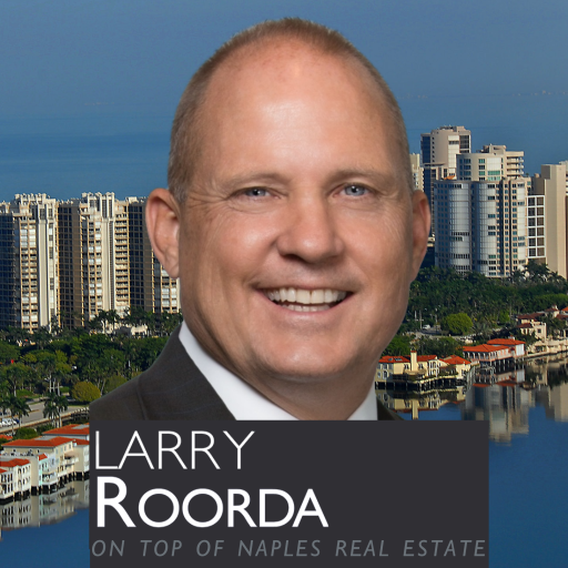 Larry Roorda Realtor  Icon