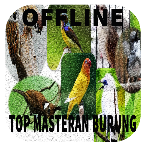 Masteran suara burung Lengkap Offline