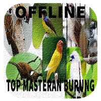 Masteran suara burung Lengkap Offline