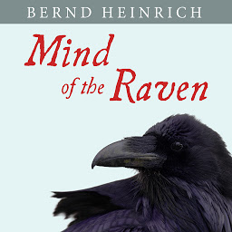 Symbolbild für Mind of the Raven: Investigations and Adventures with Wolf-Birds
