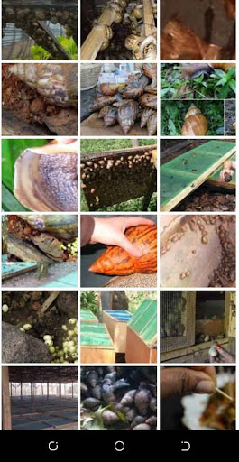 Learn Snail Farming Screen 3