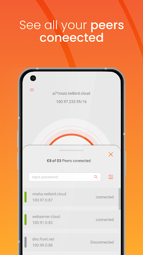 Android application NetBird P2P VPN screenshort